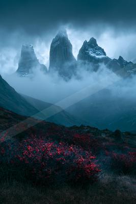 A breathtaking view of towering mountain peaks partially obscured by mist, with a foreground of vivid red wildflowers glowing against the dark terrain.