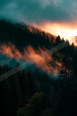 A dramatic sky scene of sunrise, forest, trees.