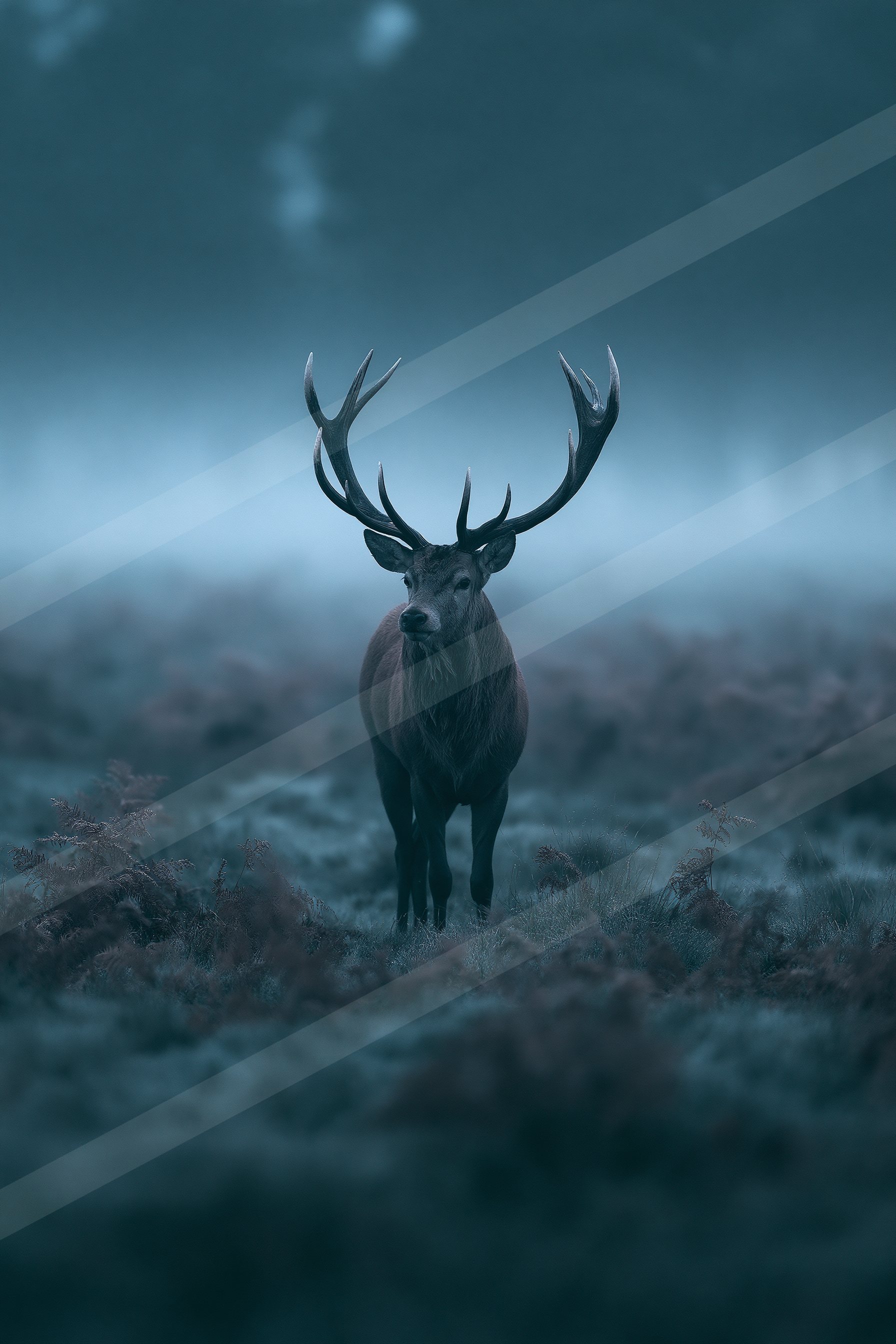 A powerful stag with large antlers stands prominently in a misty forest, creating an atmospheric and serene scene.