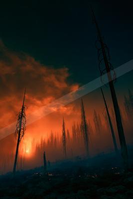 A moody sky scene of sunset, forest, trees.
