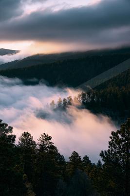 A serene panorama landscape of a valley, fog.