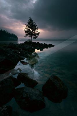 A blue hour water scene of lake, trees, fog.