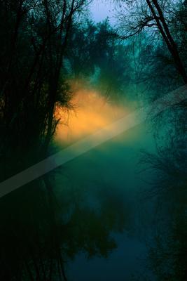 A serene water scene of lake, river, forest.