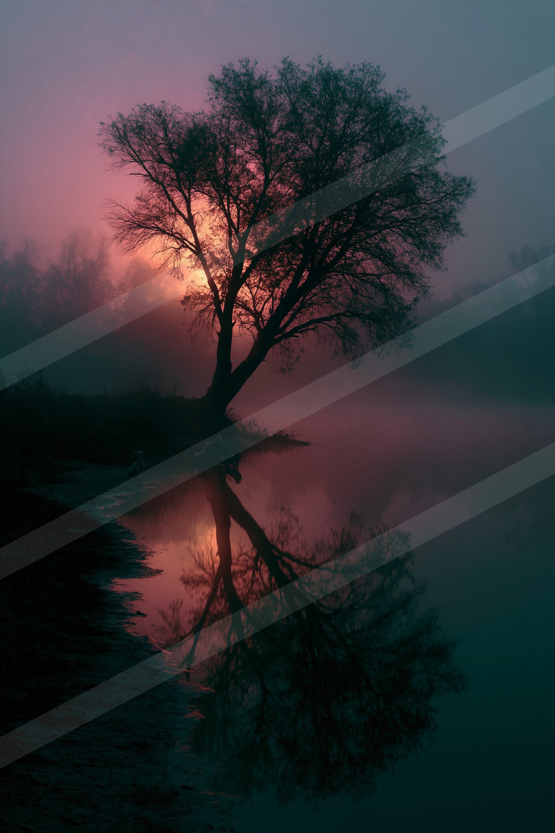 An ethereal high contrast sky scene of a sunrise, reflection.