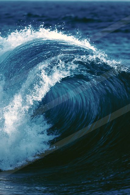 A dramatic ocean wave curling and cresting with white foam against a deep blue backdrop.