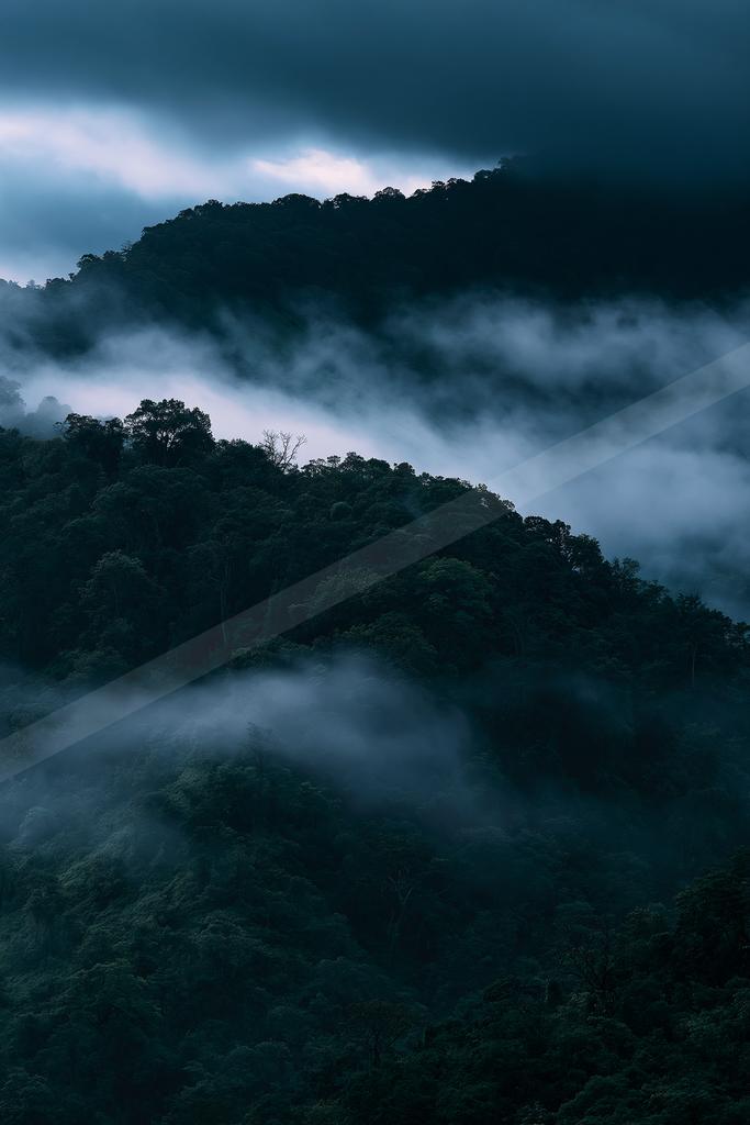 A night landscape of mountains, valley, forest.