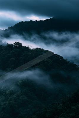 A night landscape of mountains, valley, forest.