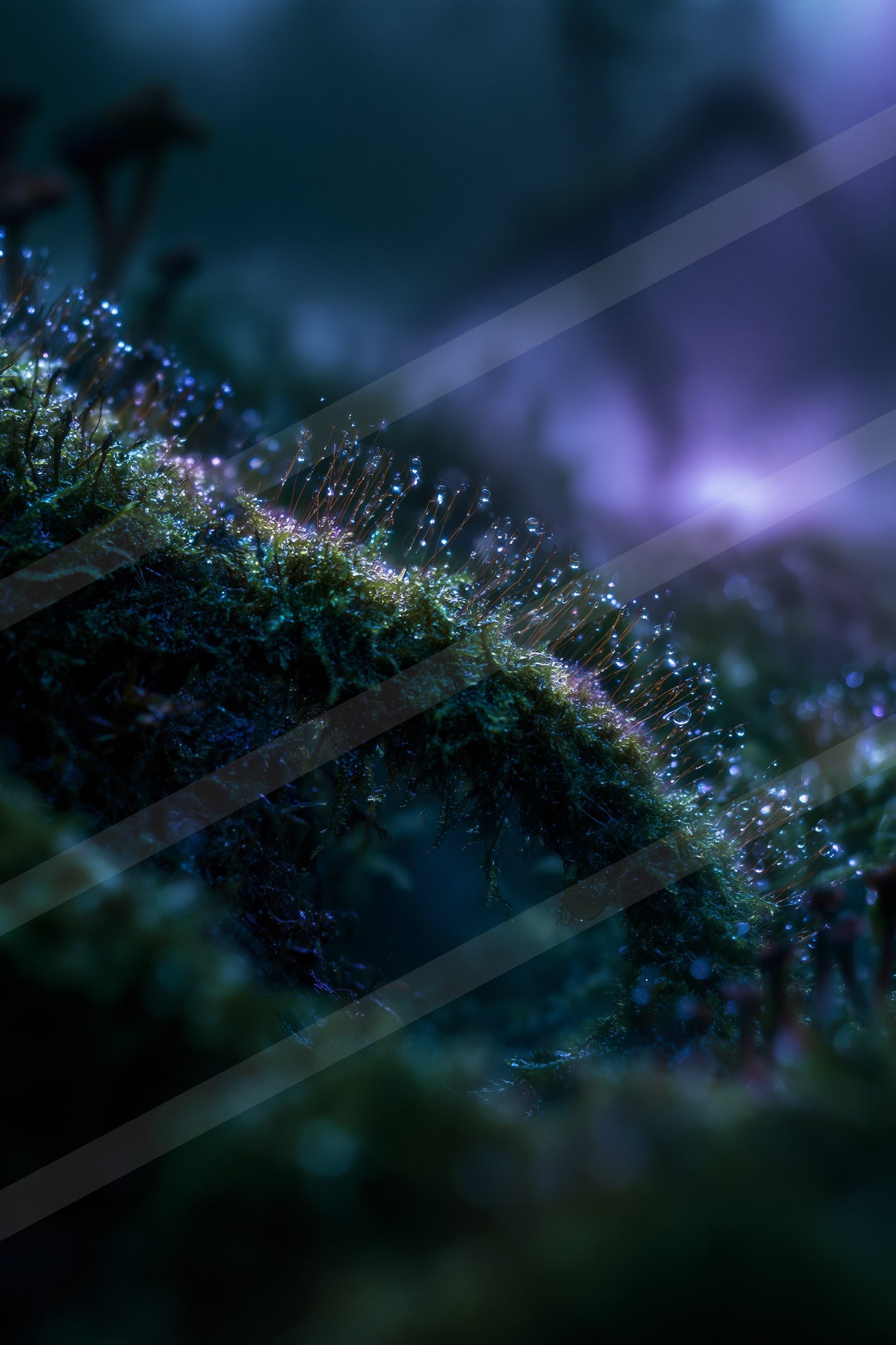 An ethereal macro water scene of an underwater, reflection.