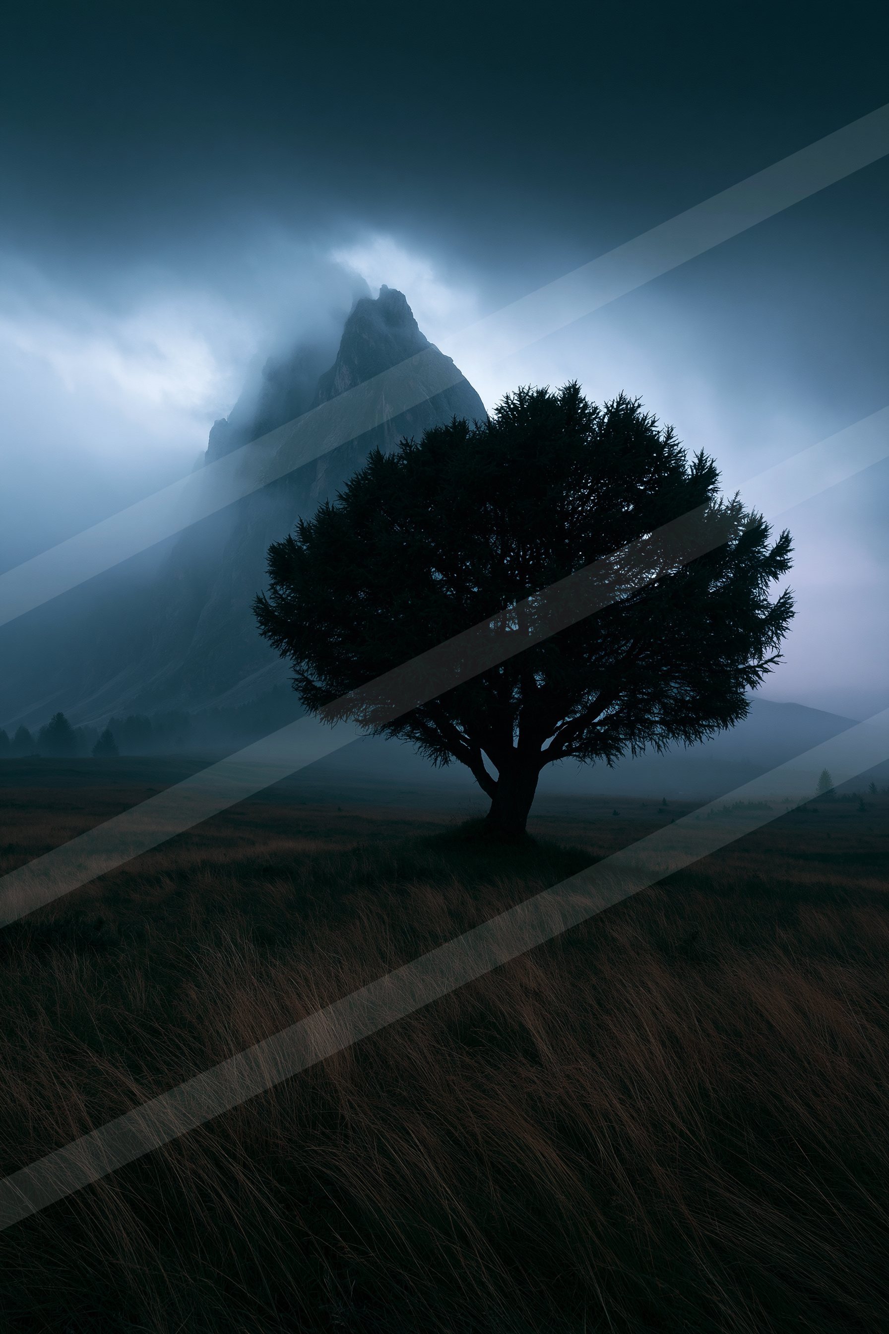 A dramatic long exposure nature scene of an oak tree, fog.