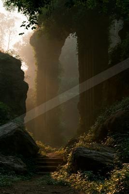 A serene nature scene of forest, fog.