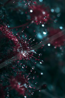 A moody macro still life of abstract texture, flowers.