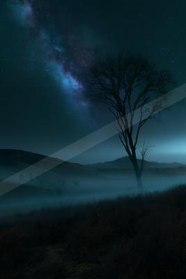 A lone leafless tree stands silhouetted against a vibrant Milky Way galaxy in a starry night sky above rolling hills shrouded in thick blue fog.