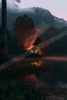 A serene water scene of lake, forest, trees.