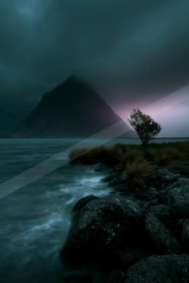 A lone tree stands on a rocky, grassy shore beside a misty lake with a large mountain partially obscured by low clouds in the background under a dark, dramatic 