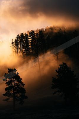 A brown-toned moody photograph of lakeside, alp, geyser.