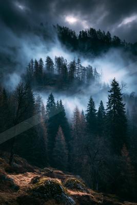 A moody landscape of mountains, forest, valley.
