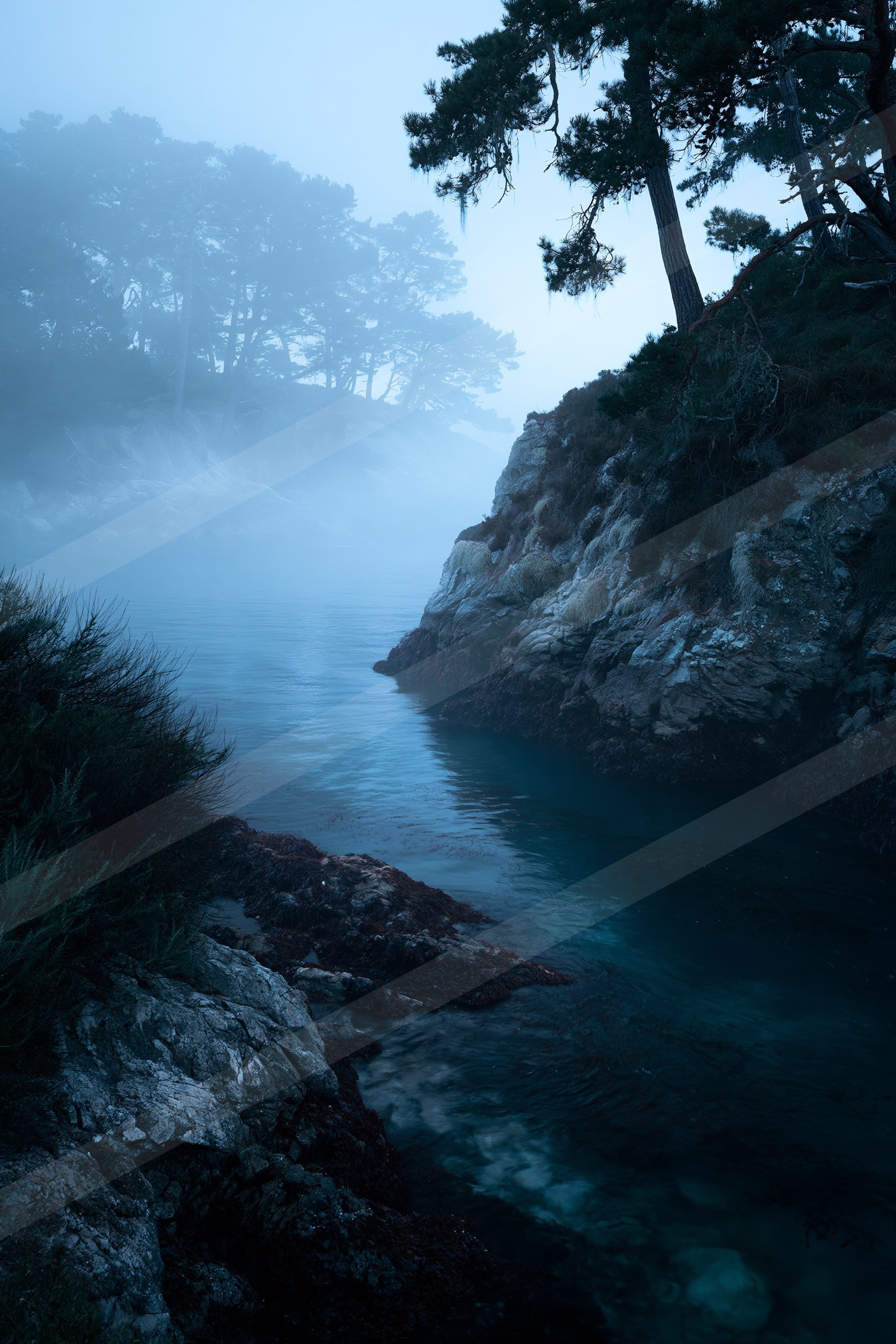 A serene coastal scene featuring a misty ocean, rocky shoreline, evergreen trees, and lush vegetation under soft blue lighting.