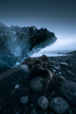 A large blue iceberg rests on a dark rocky shore beside weathered driftwood under an overcast sky.