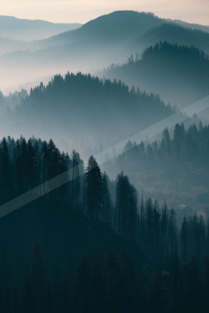 A serene landscape of mountains, forest, trees.