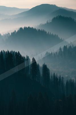 A serene landscape of mountains, forest, trees.