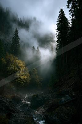 A black-and-white serene landscape of mountains, forest, valley.