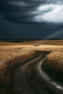 A moody sky scene of storm, field.