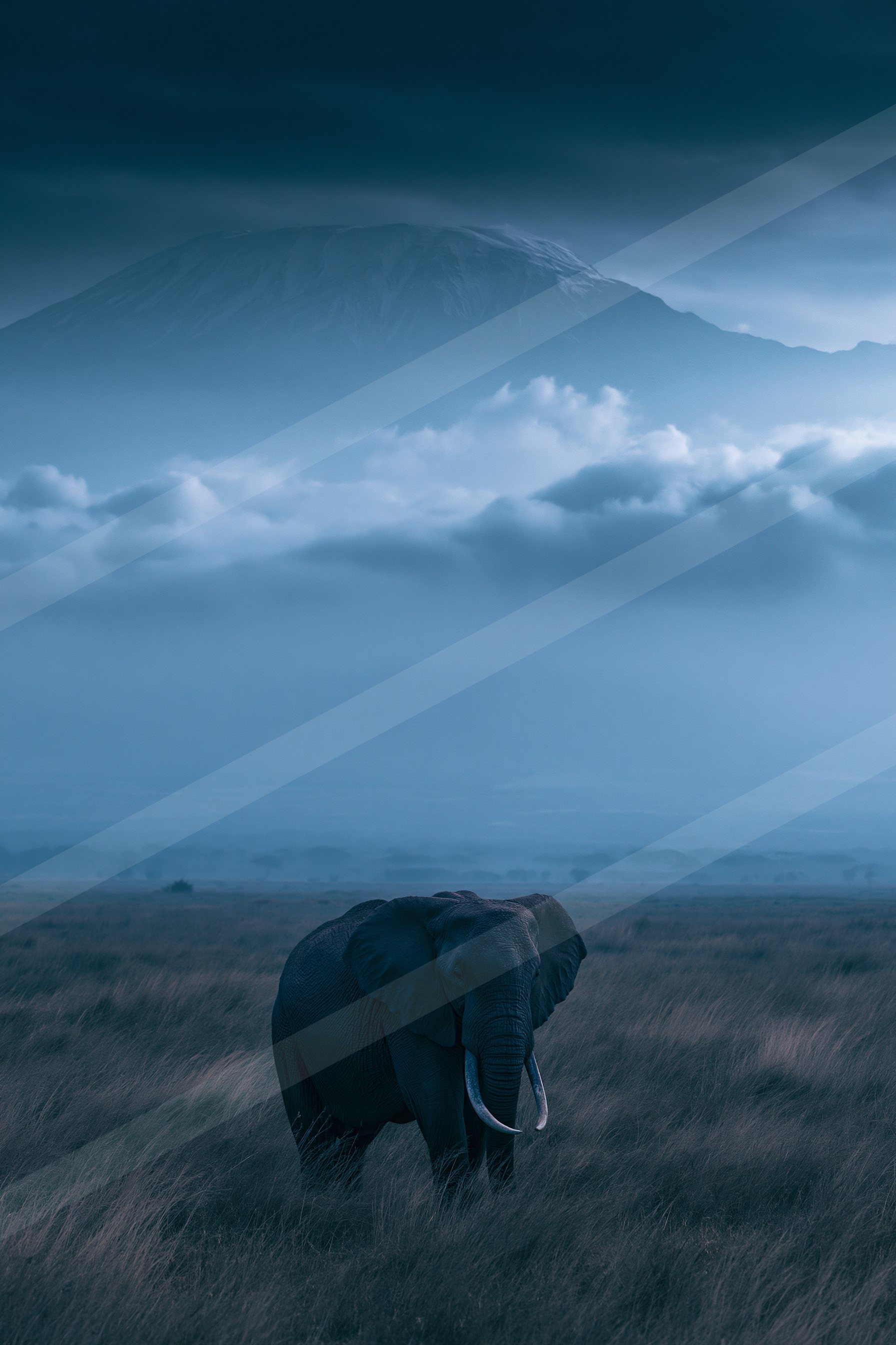 A blue hour wildlife photo of wildlife.