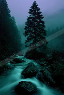 A fast-flowing stream winds through dark rocks in a misty coniferous forest, with a prominent tall pine tree standing in the center against a purple twilight sk
