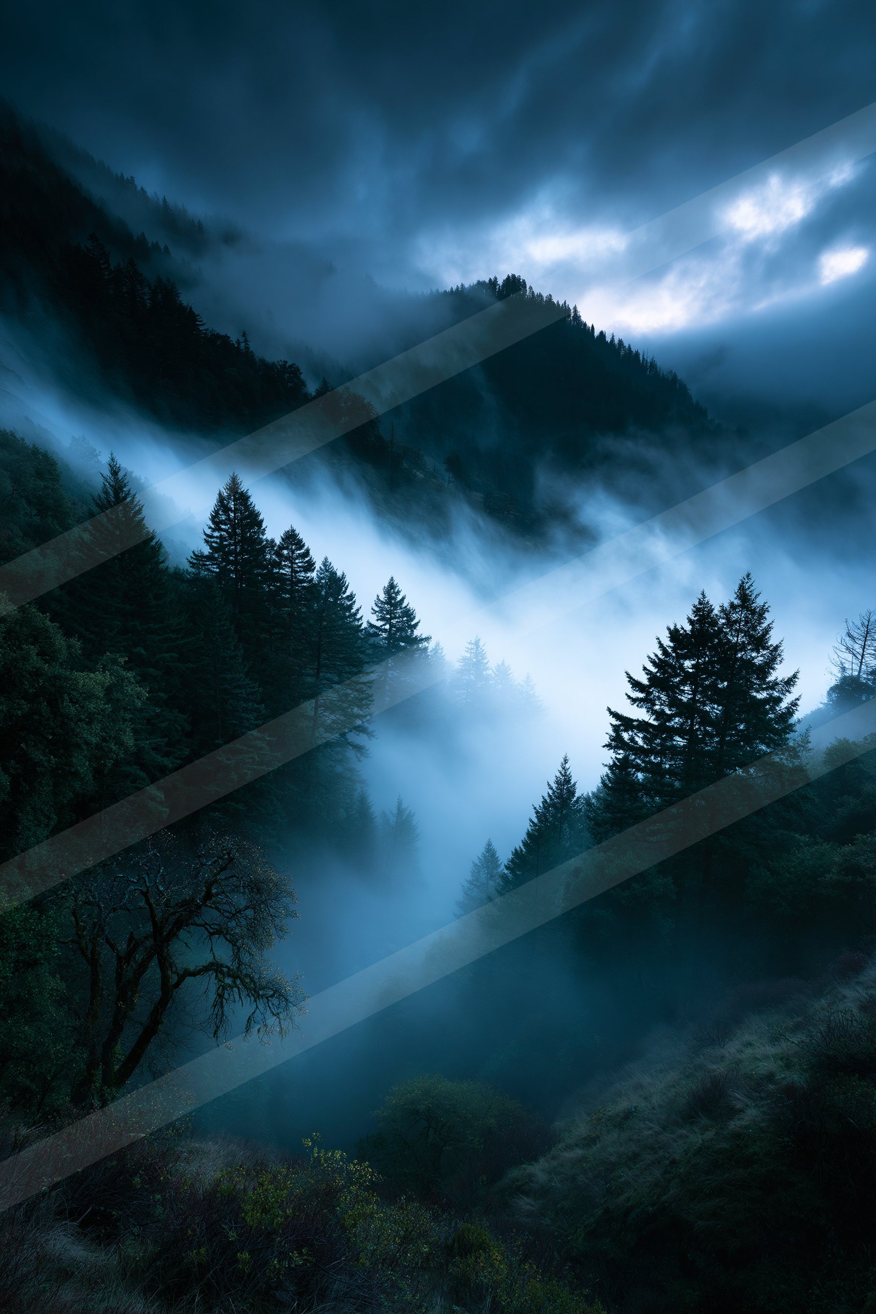 A serene forest scene shrouded in mist under a dark blue sky at night, featuring tall evergreen trees and distant hills.
