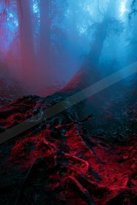 A moody landscape of mountains, forest, waterfall.
