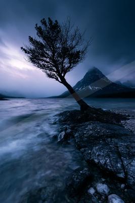 A blue hour nature scene of trees, beach, mountains.