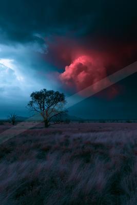 A night sky scene of storm, clouds, trees.
