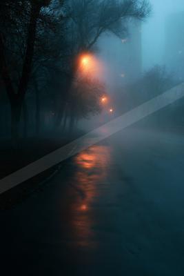 A foggy urban street at night lined with bare trees and illuminated by warm orange streetlights reflecting on the wet asphalt, with tall buildings barely visibl