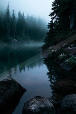 A calm mountain lake reflects a dense coniferous forest shrouded in thick fog on an overcast day.