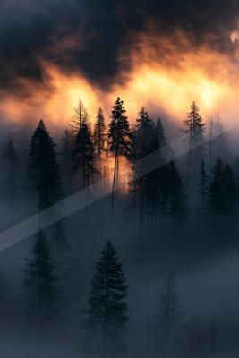 An ethereal double exposure sky scene of a sunrise, fog.