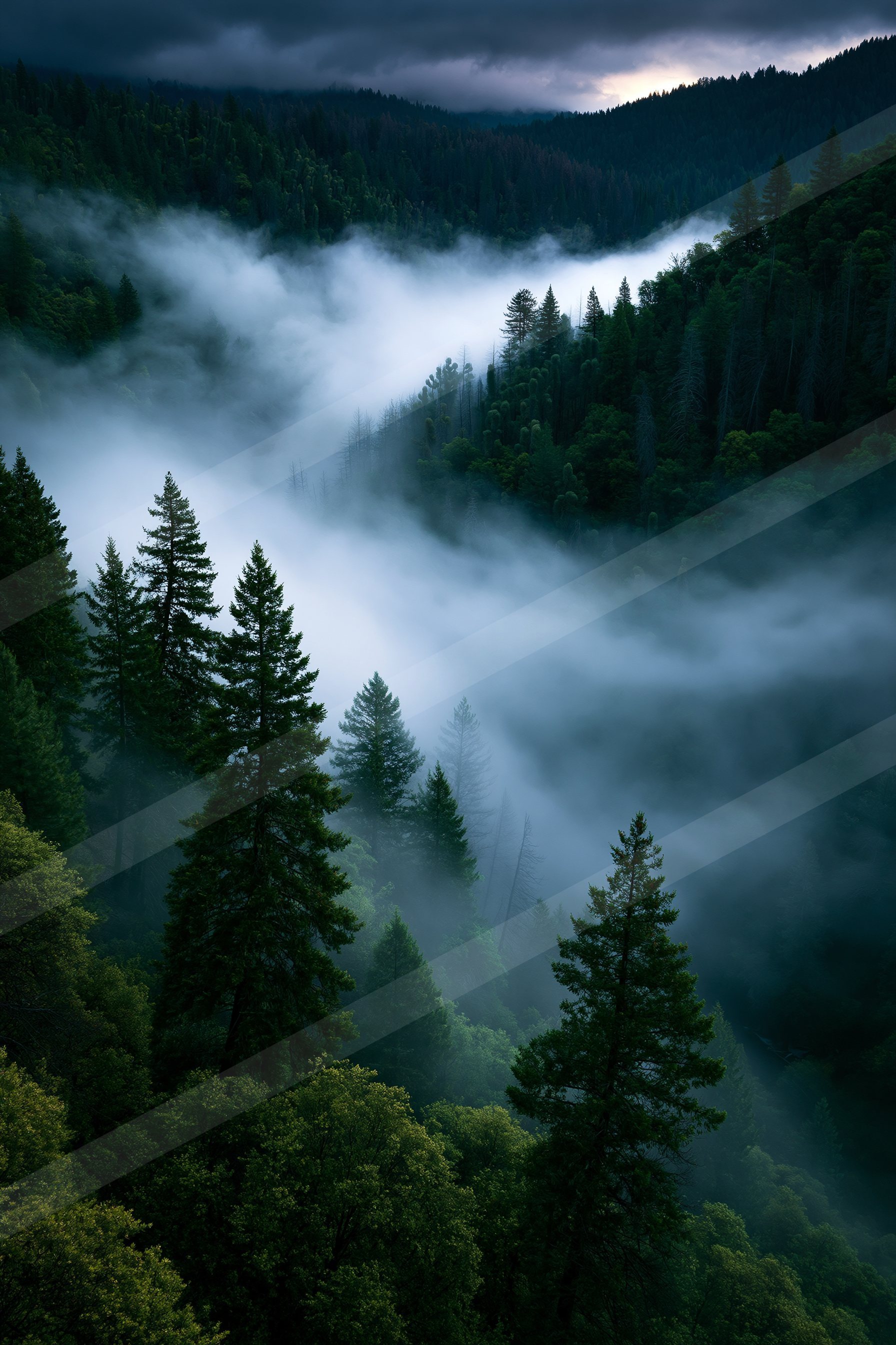 A serene forest valley blanketed in mist under a dark, brooding sky.