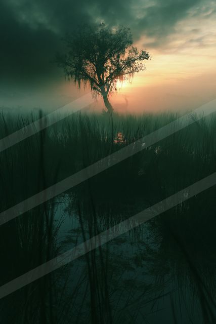 A mysterious high contrast sky scene of a sunrise, fog.