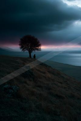 A silhouetted person stands beside a lone tree on a grassy hilltop under a dark, stormy sky with dramatic light breaking through, overlooking a vast lake and di