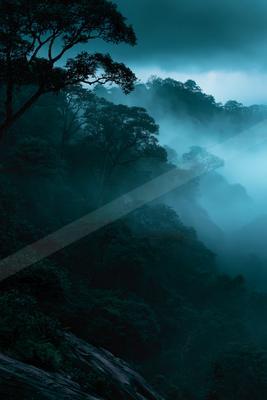 A night nature scene of forest, trees, valley.