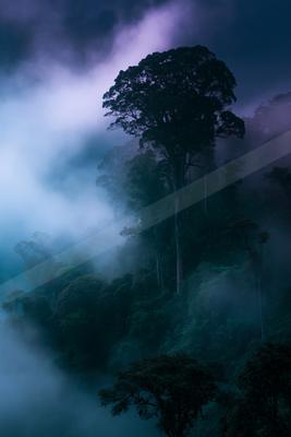 A black-toned moody photograph of lakeside, scuba diver, volcano.