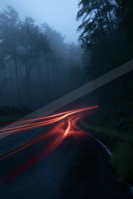 A winding asphalt road through a dense foggy forest at night, illuminated by long red light trails from passing vehicles reflecting on the wet surface.