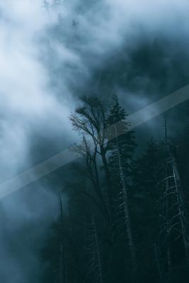 A green-toned moody photograph of lakeside, valley, church.