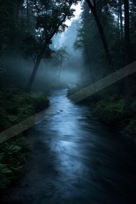 A night long exposure water scene of river, fog.