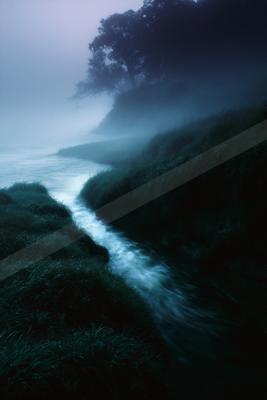 A stream with smooth flowing water winds through lush green grass on a foggy hillside, with silhouetted trees visible in the thick mist.