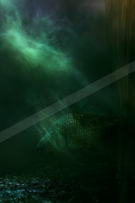A moody still life of abstract texture, wildlife, lake.