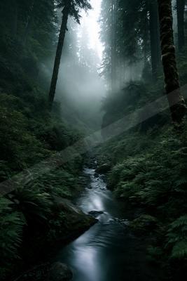 A serene nature scene of forest, river, valley.
