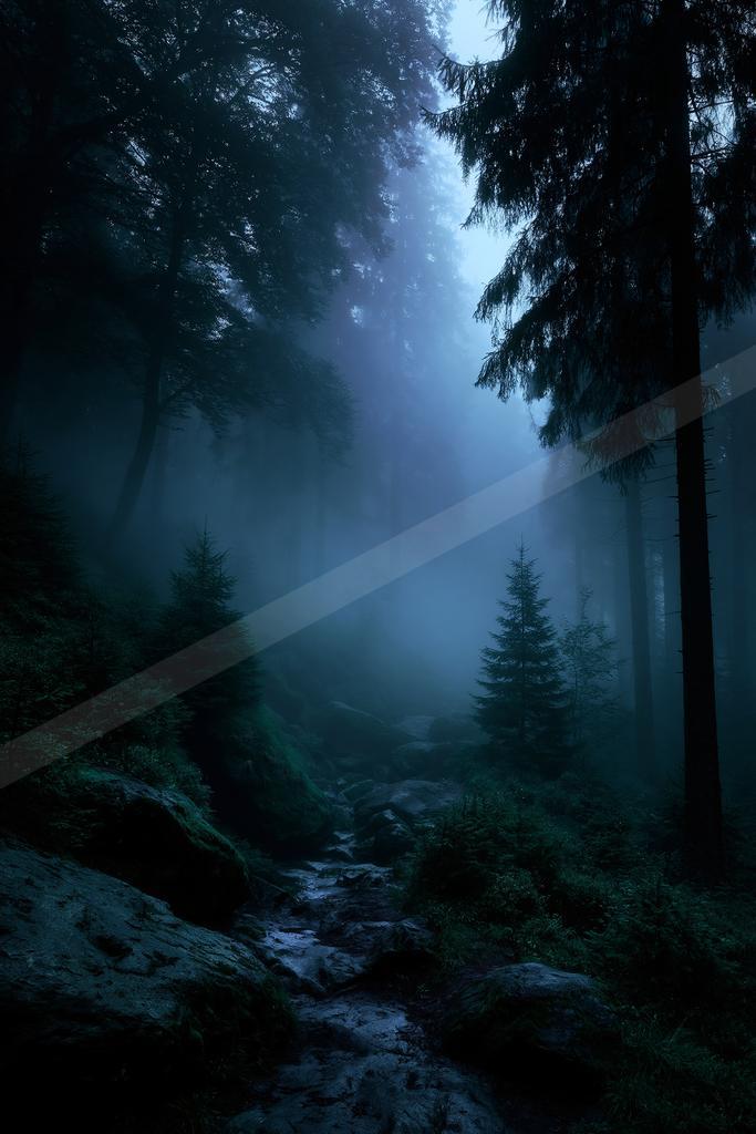 A rocky stream winds through a dense, foggy coniferous forest with tall dark trees and lush green undergrowth under a dim blue light.