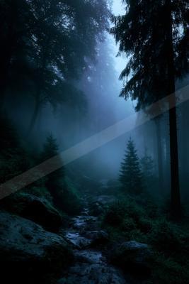 A rocky stream winds through a dense, foggy coniferous forest with tall dark trees and lush green undergrowth under a dim blue light.