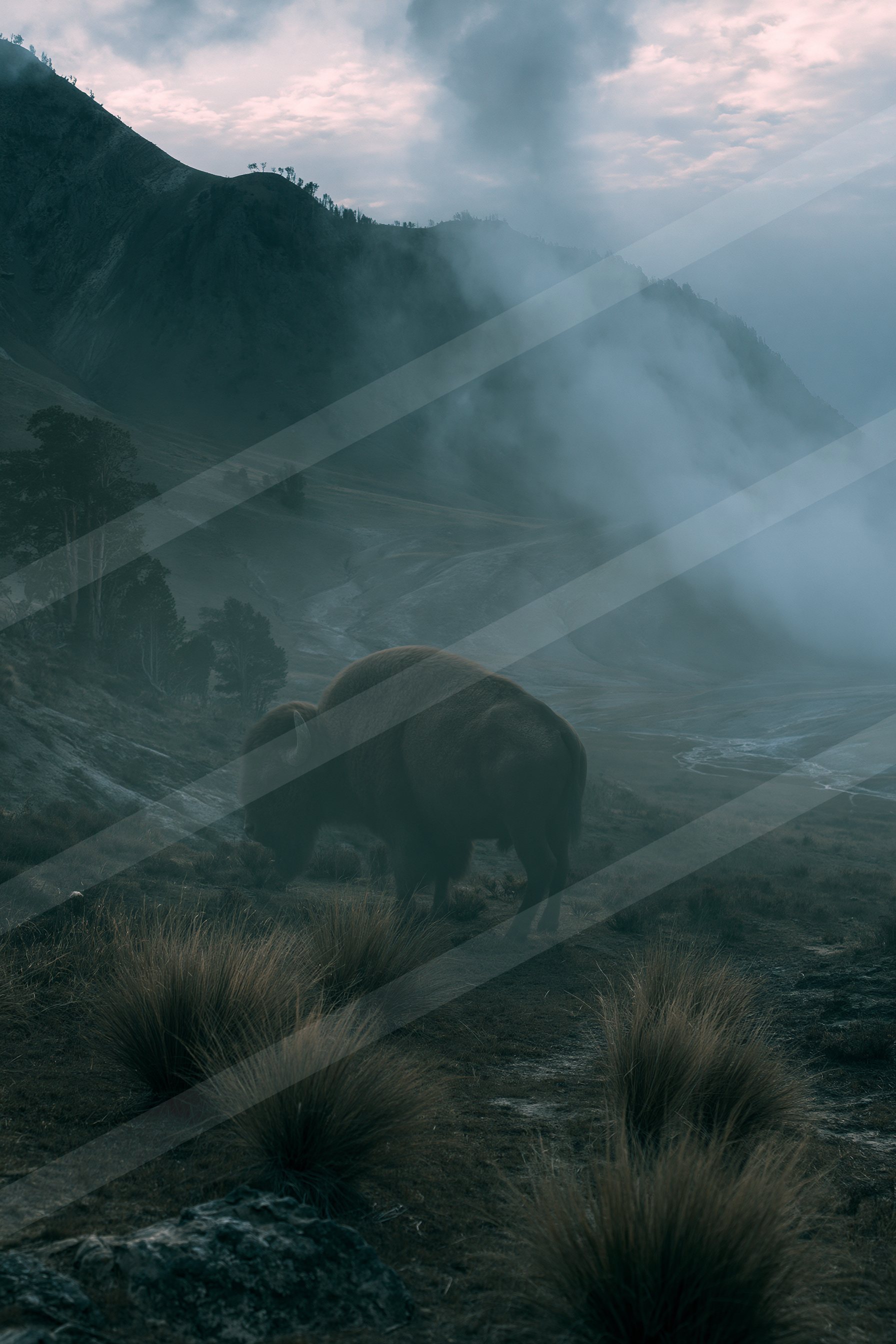 A lone bison stands on a mist-covered mountain slope with rugged terrain and sparse vegetation.