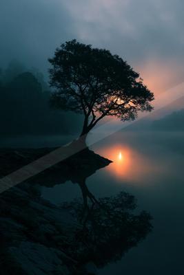 A serene sky scene of sunrise, lake, trees.
